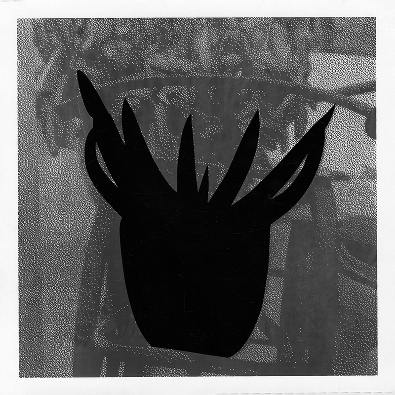 “Lauren Gabor 1” screenprint and vinyl on Yupo 11” x 11” 2020