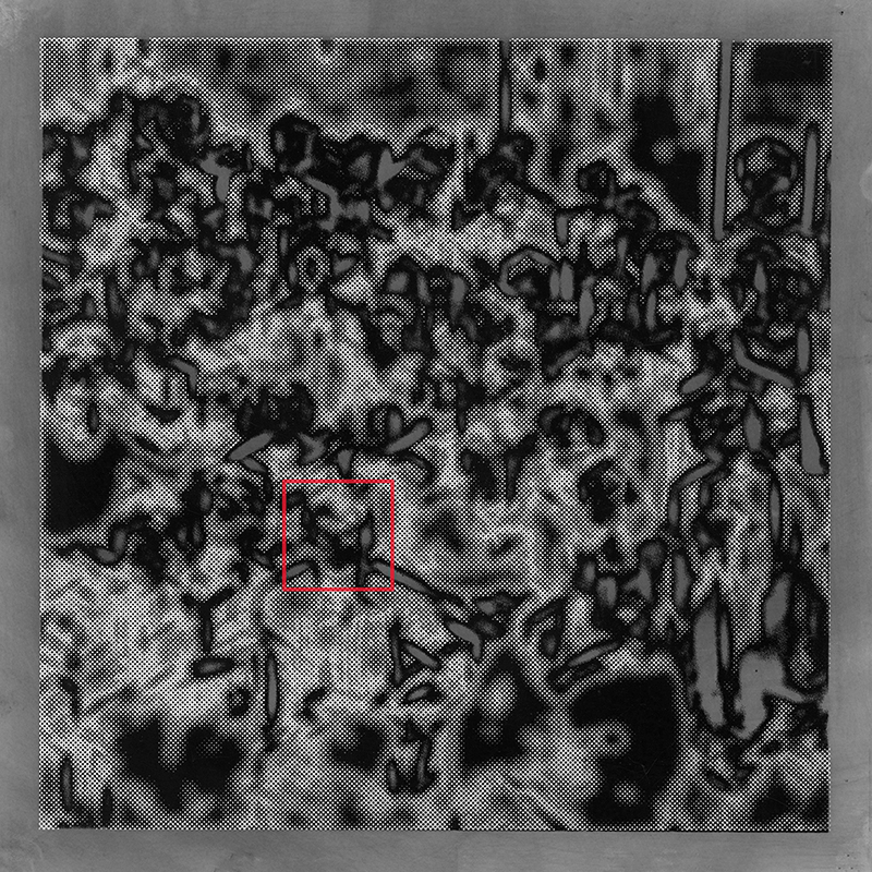 “Saman Gabor 2” screenprint and flocking on Yupo 11” x 11” 2020