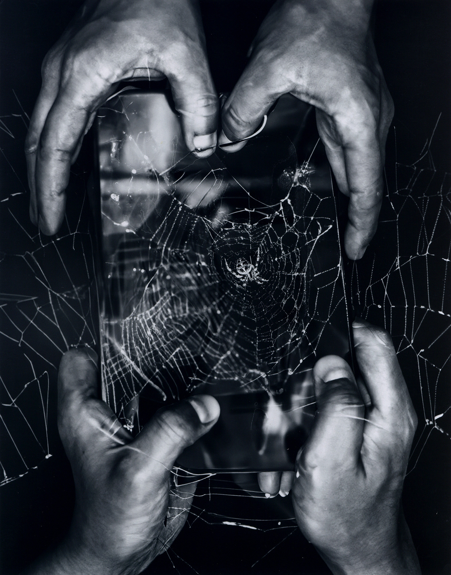 ”Four Hands” riel sturchio, gelatin silver print, 11” x 14”, 2025
